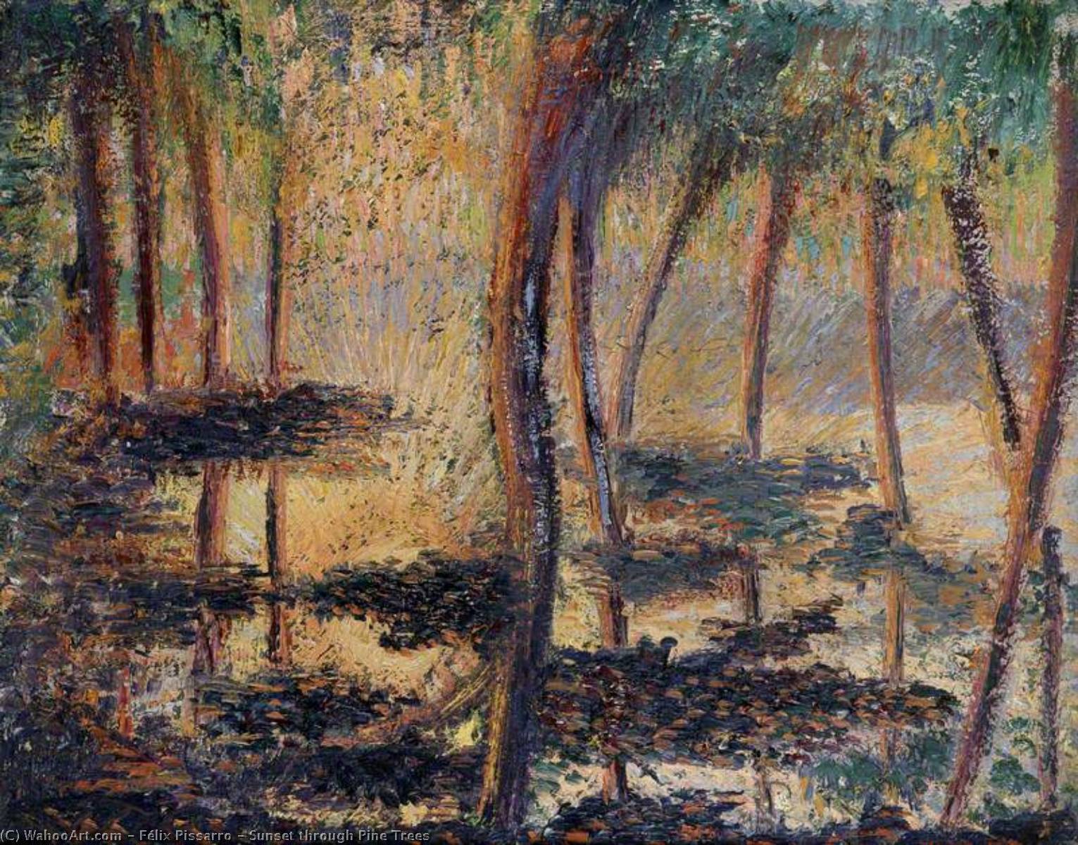 Wikioo.org - Bách khoa toàn thư về mỹ thuật - Vẽ tranh, Tác phẩm nghệ thuật Félix Pissarro - Sunset through Pine Trees
