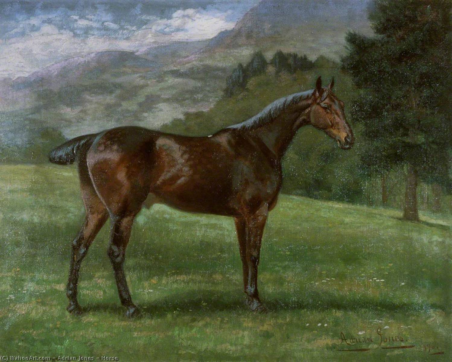 Wikioo.org - The Encyclopedia of Fine Arts - Painting, Artwork by Adrian Jones - Horse