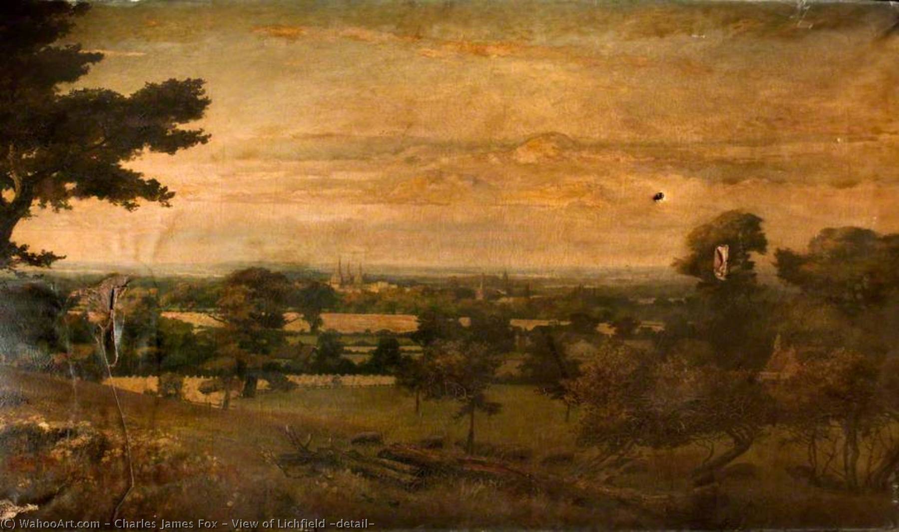 Wikioo.org - The Encyclopedia of Fine Arts - Painting, Artwork by Charles James Fox - View of Lichfield (detail)