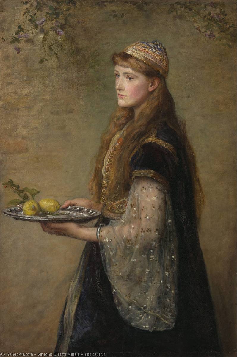 Wikioo.org - The Encyclopedia of Fine Arts - Painting, Artwork by John Everett Millais - The captive