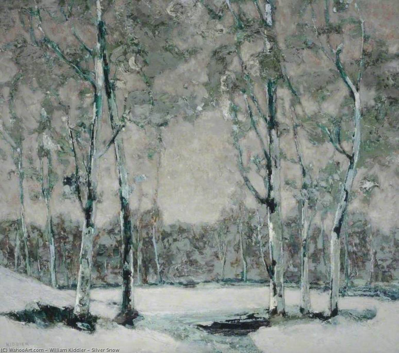 Wikioo.org - The Encyclopedia of Fine Arts - Painting, Artwork by William Kiddier - Silver Snow