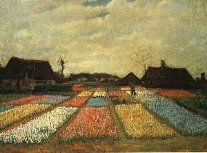 цветники в  Голландии  1883