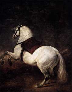 un bianco cavallo