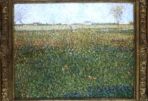 поле маков , 1884