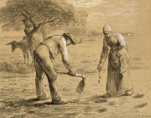 Peasants planting potatoes