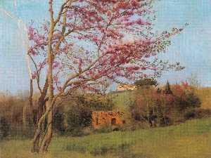 Landscape. Blossoming Red Almond [study]