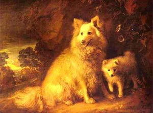 Cagna Pomerania e Pup