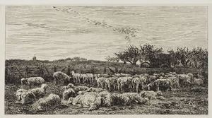 Meadow with sheep