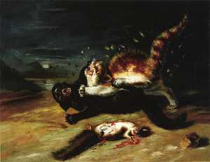 due gatti combattimento