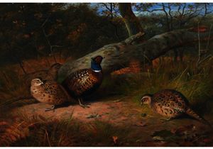 The Fallen Beech- A Cock And Three Hen Pheasants With A Wasp