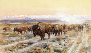 El Camino del bisonte