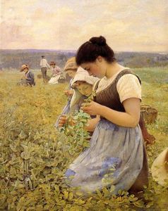 женщины в поля