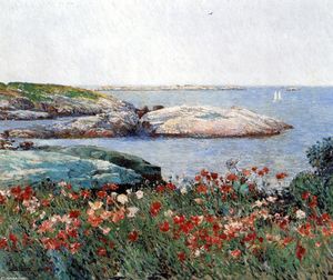 Poppies, Isles of Shoals 3