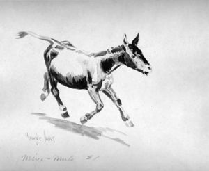Mine-Mule