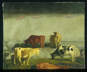 cinque mucche