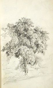 Baum 6