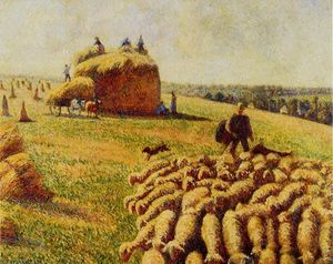 rebaño de ovejas en un campo después de la cosecha