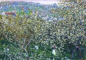 Vetheuil floración  Ciruela  árboles