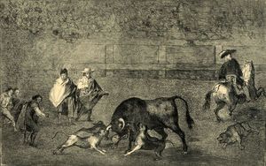 Perros al toro