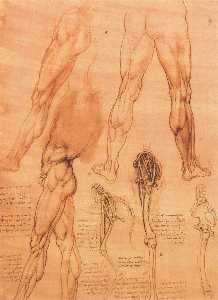 Studi di gambe uomo e la gamba di un cavallo