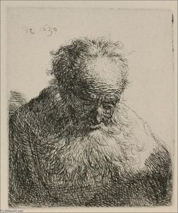 An Old Man with a Large Beard