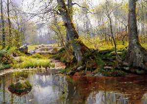 Un estanque tranquilo