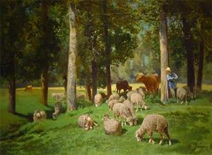 пейзаж с овцы