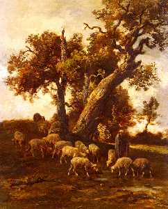 Sheep At Pasture