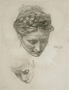 Study Of Two Heads