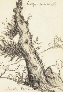Breton woman near a tree