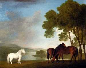 due bay mares e un pony grigio in a landscape