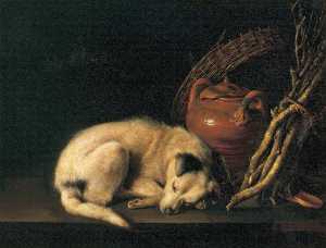 睡眠 狗 与 无釉赤陶 瓶 , 篮 并点燃 木头