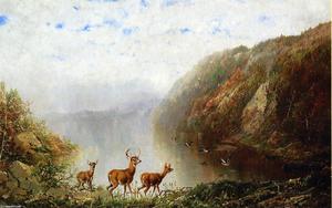 paesaggio con cervo e anatre