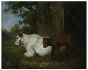 Vache et veau