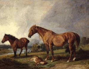 Portraits von Blackthorn, Zuchtstute, mit Old Jack, einem Lieblings Pony