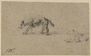 Study of two dogs