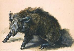 A wild boar at bay