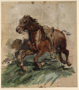 Brown horse in Galopp