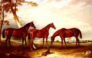 Émerveillés , kingfisher et the lad , trois chasseurs appartenant à william angerstein , dans un champ avec son printemps dog