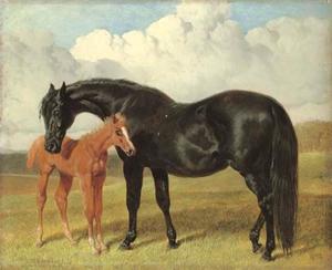 A mare and foal in a landscape