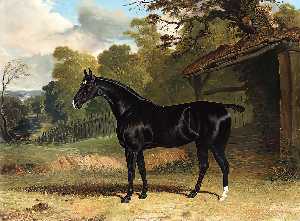 Black Tom, a black hunter, beside a stable, in a wooded river landscape