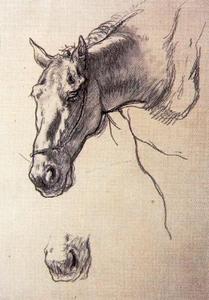 Study of horses 1