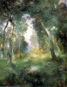 foresta radura , Babbo Barbara