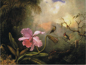 Carrleya Orchid with Two Hummingbirds