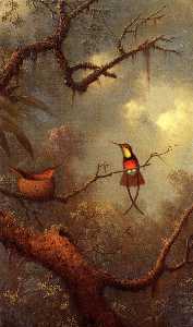 Cromson 黄玉 蜂鸟 嵌套  在 热带 森林
