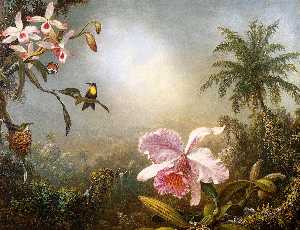 orchideen nistend  Kolibri  und  Ein  Schmetterling