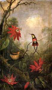 Passionsblumen und Kolibris