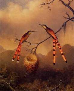 Zwei Kolibris mit  ihr  Junge