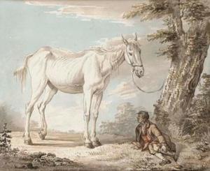 Un vecchio cavallo grigio legato a un albero , un ragazzo riposo vicino