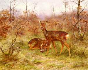 Un pareja de ciervos en el bosque de fontainebleau